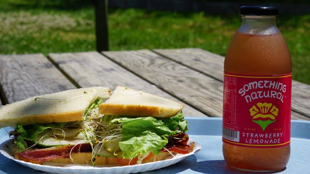 a sandwich on a plate a pink drink in a glass bottle