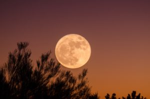 Harvest moon on Nantucket Island, MA