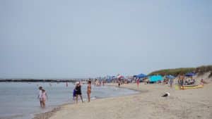 Many people on a beach and in the water on a slightly overcast day