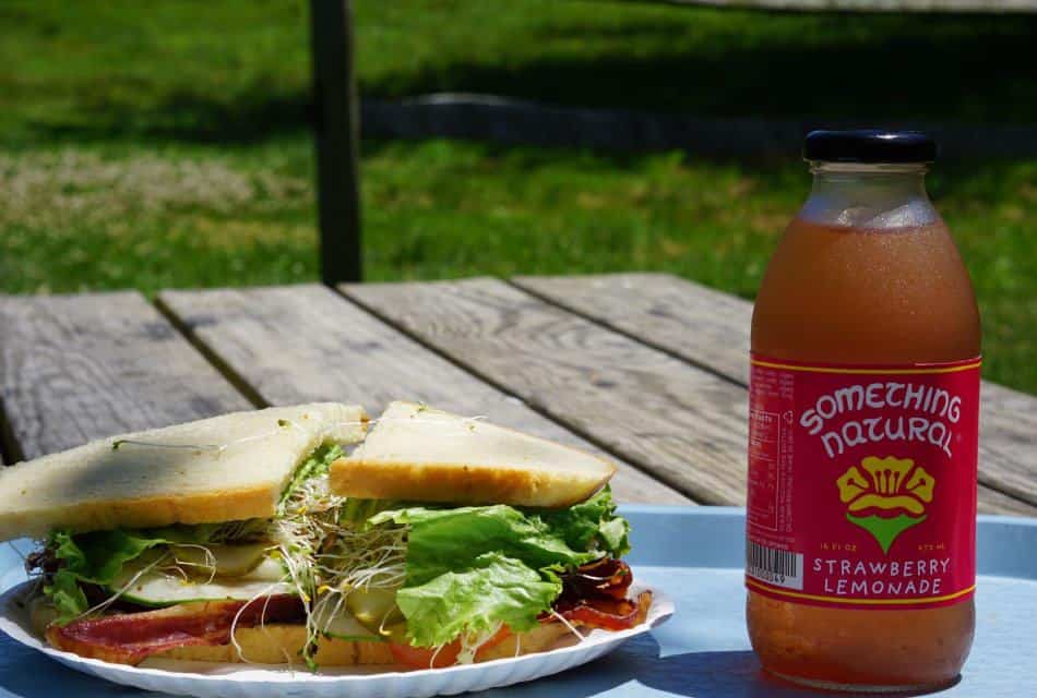 Close up view of a bacon, lettuce, tomato, and sprouts sandwich and strawberry lemonade on a blue tray on a wooden picnic table